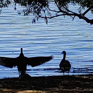 Meet your Posher, Vannessa